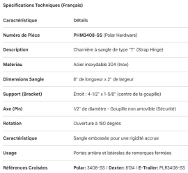 POLAR STAINLESS STEEL STRAP HINGE