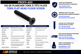 TORX FLOOR SCREW 1/4 X 5