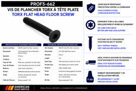 TORX FLOOR SCREW 5/16 X 2