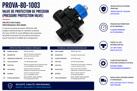 PROPAR 65LB PROTECTION VALVE
