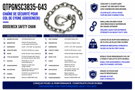 SAFETY CHAIN .375" X 35", 16.2K CAP W/CLEVIS SLIP LATCH HK