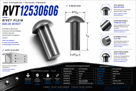 SOLID RIVET 3/16" X 3/8" BRAZIER HEAD SS