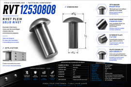 SOLID RIVET 1/4" X 1/2" BRAZIER HEAD SS