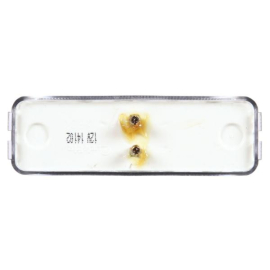 TRUCK LITE LICENCE LIGHT