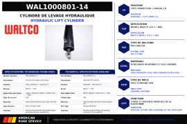WALTCO CYLINDER LIFT LH