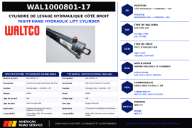 WALTCO CYLINDER LIFT RH