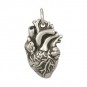 Sterling Silver Anatomical Heart Charm 21x10mm