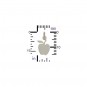 Sterling Silver Apple Charm - Flat 16x8mm