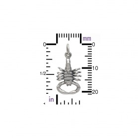 Sterling Silver Realistic Scorpion Charm 22x10mm