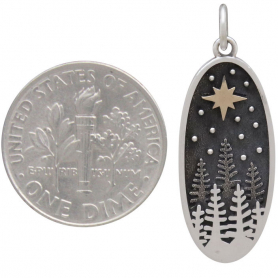 https://www.ninadesigns.com/admin/mproducts/details/QTQxNTkgICBTVkNIUk0#:~:text=Sterling%20Silver%20Pine%20Tree%20Charm%20with%20Bronze%20Star
