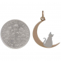 Bronze Moon Charm with Sterling Silver Kitty