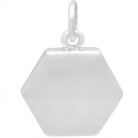 Sterling Silver Hexagon Charm with Bronze Bee