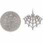 Sterling Silver Spider Web Charm 18x17mm