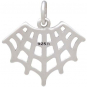 Sterling Silver Spider Web Charm 18x17mm