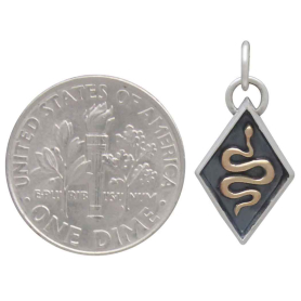 Mixed Metal Snake Shadow Box Charm with Dime
