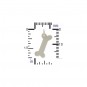  Sterling Silver Dog Bone Stamping Blank 19x12mm