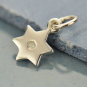 Sterling Silver Star of David Charm w Genuine Diamond 14x7mm