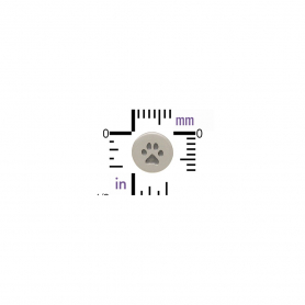 Sterling Silver Stud Earrings - Etched Paw Print 7x7mm