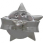 Sterling Silver Star Post Earrings 6x6mm