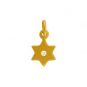 Gold Charms - Star of David with 24K Gold Plate 14x7mm