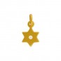 Gold Charms - Star of David with 24K Gold Plate 14x7mm