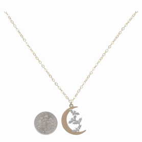 Bronze Moon Necklace with Bats on Gold Fill Chain with Dime
