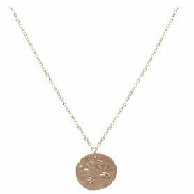 Bronze Pegasus Coin Necklace with Gold Fill Chain Front View