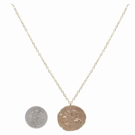 Bronze Pegasus Coin Necklace with Gold Fill Chain with Dime