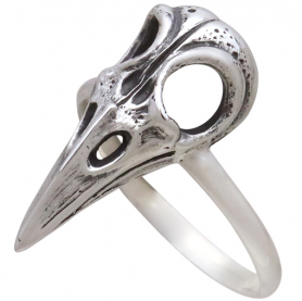 Sterling Silver Raven Skull Ring