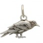 Sterling Silver Raven Charm 13x15mm
