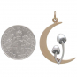 Bronze Moon Charm with Sterling Silver Mushrooms 28x16mm