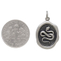 Sterling Silver Wax Seal Snake Charm with Dime