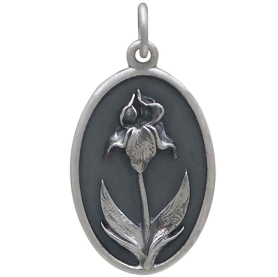 Silver Iris Charm - February Birthflower Front View