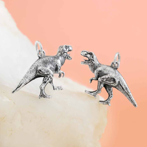 Sterling Silver T-Rex Dinosaur Charm 18x24mm
