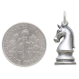 Sterling Silver Knight Chess Piece Charm with Dime