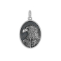 Sterling Silver Oval Dimensional Eagle Charm 23x14mm