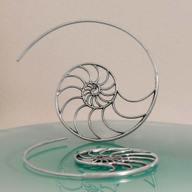 Sterling Silver Nautilus Spiral Hoop Earrings