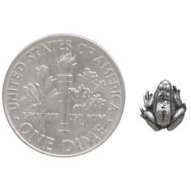 Sterling Silver Tiny Dimensional Frog Post Earrings with Dime