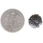 Sterling Silver Lily Pad Post Earrings with Dime