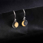 Mixed Metal Sun and Moon Dangle Earrings 22x8mm