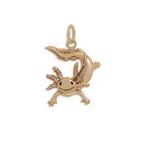 Bronze Axolotl Charm 20x14mm