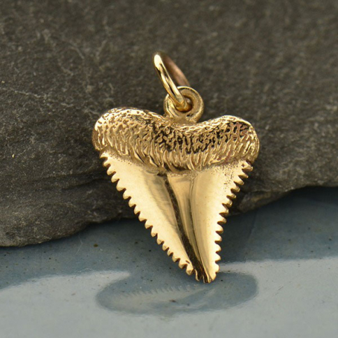 Bronze Shark Tooth Jewelry Charm 17x11mm