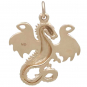 Bronze Fairy Tale Dragon Charm Back View