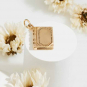 Bronze Book Charm