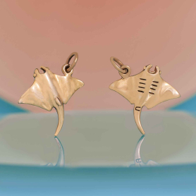 Bronze Stingray Charm front and back side