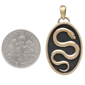 Bronze Snake in Shadowbox Pendant with Dime