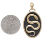 Bronze Snake in Shadowbox Pendant with Dime