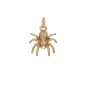 Bronze Small Spider 17x12mm