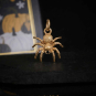 Bronze Small Spider on dark background