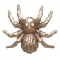 Bronze Spider Post Earrings 11x12mm